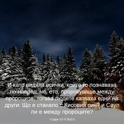Picture 03 - 1 Царе 10:11 BULG - И като видяха всички, които - Bible Verse Picture