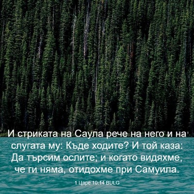 Picture 03 - 1 Царе 10:14 BULG - И стриката на Саула рече на - Bible Verse Picture