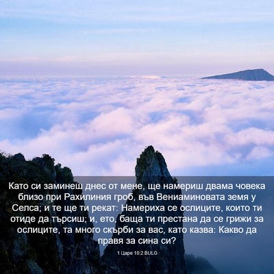 Picture 03 - 1 Царе 10:2 BULG - Като си заминеш днес от - Bible Verse Picture
