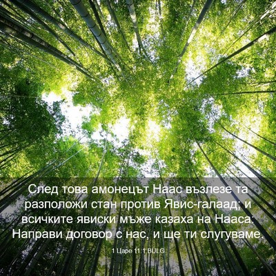 Picture 03 - 1 Царе 11:1 BULG - След това амонецът Наас - Bible Verse Picture