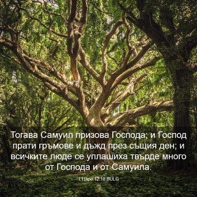 Picture 03 - 1 Царе 12:18 BULG - Тогава Самуил призова - Bible Verse Picture