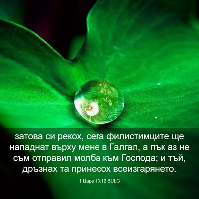 Picture 03 - 1 Царе 13:12 BULG - затова си рекох, сега - Bible Verse Picture