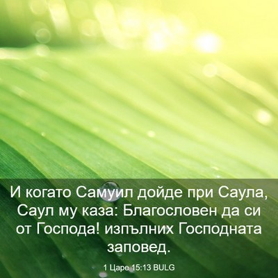 Picture 03 - 1 Царе 15:13 BULG - И когато Самуил дойде при - Bible Verse Picture