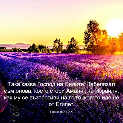Picture 03 - 1 Царе 15:2 BULG - Така казва Господ на - Bible Verse Picture