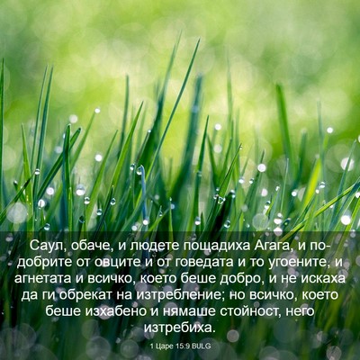 Picture 03 - 1 Царе 15:9 BULG - Саул, обаче, и людете - Bible Verse Picture