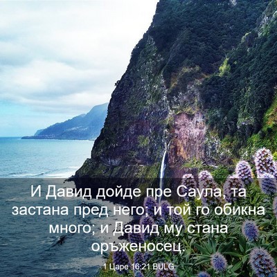 Picture 03 - 1 Царе 16:21 BULG - И Давид дойде пре Саула, та - Bible Verse Picture