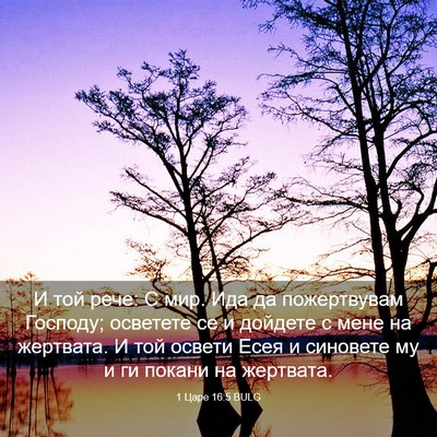 Picture 03 - 1 Царе 16:5 BULG - И той рече: С мир. Ида да - Bible Verse Picture