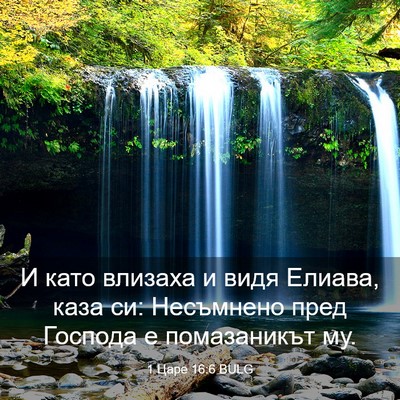 Picture 03 - 1 Царе 16:6 BULG - И като влизаха и видя - Bible Verse Picture