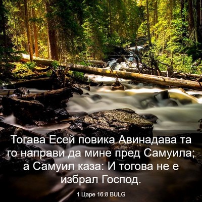Picture 03 - 1 Царе 16:8 BULG - Тогава Есей повика - Bible Verse Picture