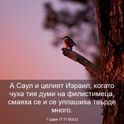 Picture 03 - 1 Царе 17:11 BULG - А Саул и целият Израил, - Bible Verse Picture