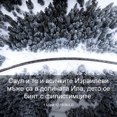 Picture 03 - 1 Царе 17:19 BULG - Саул и те и всичките - Bible Verse Picture