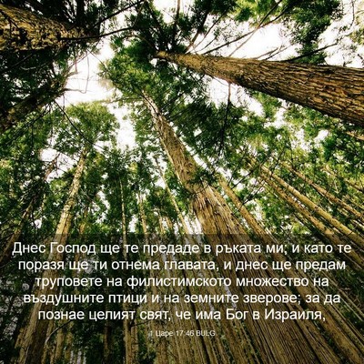 Picture 03 - 1 Царе 17:46 BULG - Днес Господ ще те предаде в - Bible Verse Picture