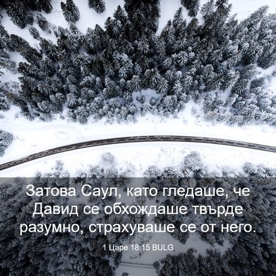 Picture 03 - 1 Царе 18:15 BULG - Затова Саул, като гледаше, - Bible Verse Picture