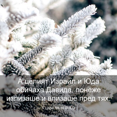 Picture 03 - 1 Царе 18:16 BULG - А целият Израил и Юда - Bible Verse Picture