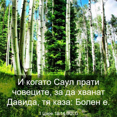 Picture 03 - 1 Царе 19:14 BULG - И когато Саул прати - Bible Verse Picture
