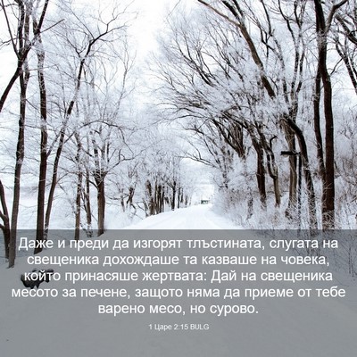 Picture 03 - 1 Царе 2:15 BULG - Даже и преди да изгорят - Bible Verse Picture
