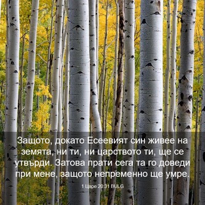Picture 03 - 1 Царе 20:31 BULG - Защото, докато Есеевият - Bible Verse Picture