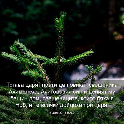 Picture 03 - 1 Царе 22:11 BULG - Тогава царят прати да - Bible Verse Picture