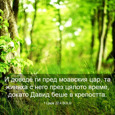 Picture 03 - 1 Царе 22:4 BULG - И доведе ги пред моавския - Bible Verse Picture