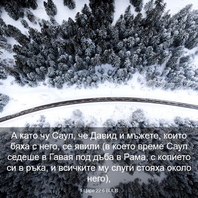 Picture 03 - 1 Царе 22:6 BULG - А като чу Саул, че Давид и - Bible Verse Picture