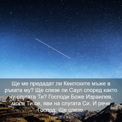 Picture 03 - 1 Царе 23:11 BULG - Ще ме предадат ли - Bible Verse Picture