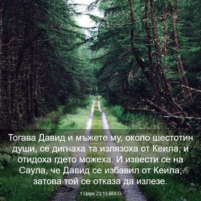 Picture 03 - 1 Царе 23:13 BULG - Тогава Давид и мъжете му, - Bible Verse Picture