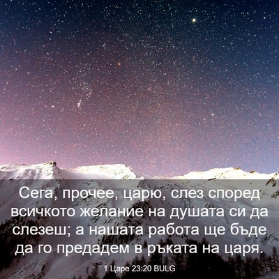 Picture 03 - 1 Царе 23:20 BULG - Сега, прочее, царю, слез - Bible Verse Picture