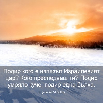 Picture 03 - 1 Царе 24:14 BULG - Подир кого е излязъл - Bible Verse Picture