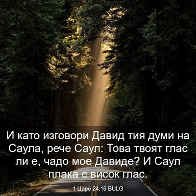 Picture 03 - 1 Царе 24:16 BULG - И като изговори Давид тия - Bible Verse Picture