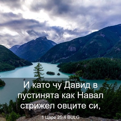 Picture 03 - 1 Царе 25:4 BULG - И като чу Давид в пустинята - Bible Verse Picture