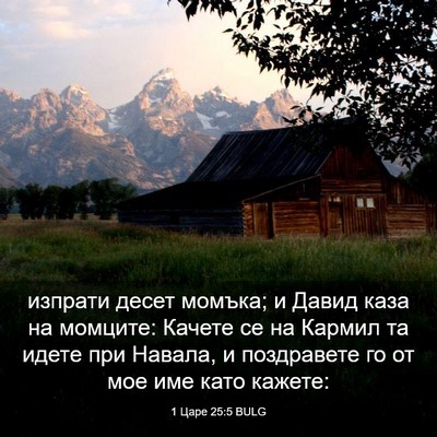 Picture 03 - 1 Царе 25:5 BULG - изпрати десет момъка; и - Bible Verse Picture