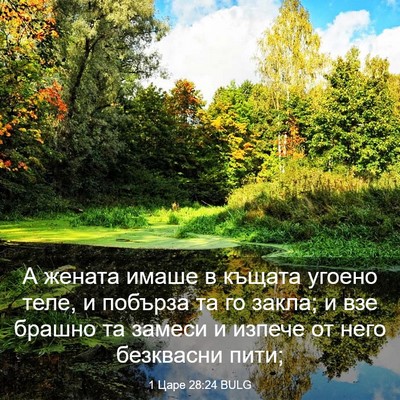 Picture 03 - 1 Царе 28:24 BULG - А жената имаше в къщата - Bible Verse Picture