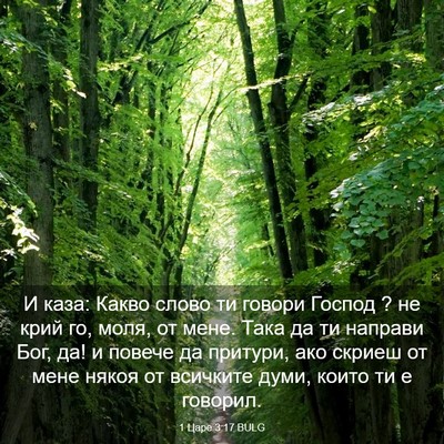Picture 03 - 1 Царе 3:17 BULG - И каза: Какво слово ти - Bible Verse Picture