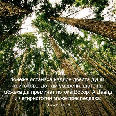 Picture 03 - 1 Царе 30:10 BULG - понеже останаха надире - Bible Verse Picture