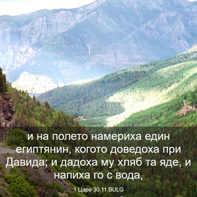Picture 03 - 1 Царе 30:11 BULG - и на полето намериха един - Bible Verse Picture