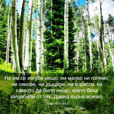 Picture 03 - 1 Царе 30:19 BULG - Не им се изгуби нищо, ни - Bible Verse Picture