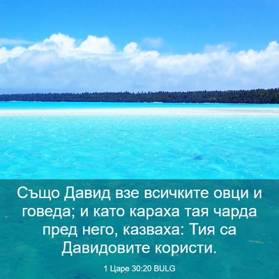 Picture 03 - 1 Царе 30:20 BULG - Също Давид взе всичките - Bible Verse Picture