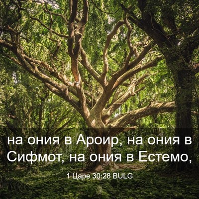 Picture 03 - 1 Царе 30:28 BULG - на ония в Ароир, на ония в - Bible Verse Picture
