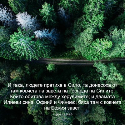 Picture 03 - 1 Царе 4:4 BULG - И така, людете пратиха в - Bible Verse Picture
