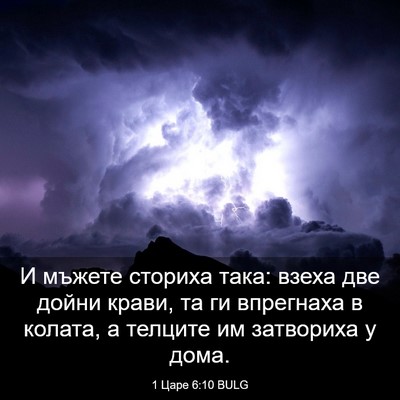Picture 03 - 1 Царе 6:10 BULG - И мъжете сториха така: - Bible Verse Picture