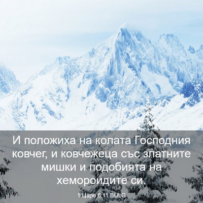 Picture 03 - 1 Царе 6:11 BULG - И положиха на колата - Bible Verse Picture