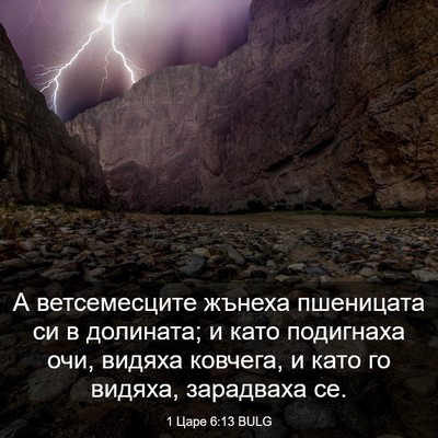 Picture 03 - 1 Царе 6:13 BULG - А ветсемесците жънеха - Bible Verse Picture