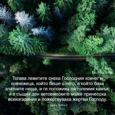 Picture 03 - 1 Царе 6:15 BULG - Тогава левитите снеха - Bible Verse Picture