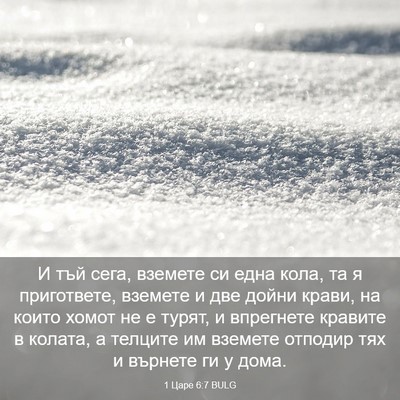 Picture 03 - 1 Царе 6:7 BULG - И тъй сега, вземете си една - Bible Verse Picture