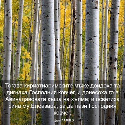 Picture 03 - 1 Царе 7:1 BULG - Тогава кириатиаримските - Bible Verse Picture