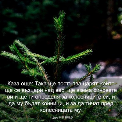 Picture 03 - 1 Царе 8:11 BULG - Каза още: Така ще постъпва - Bible Verse Picture