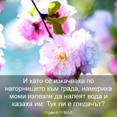 Picture 03 - 1 Царе 9:11 BULG - И като се изкачваха по - Bible Verse Picture