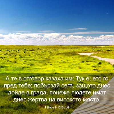 Picture 03 - 1 Царе 9:12 BULG - А те в отговор казаха им: - Bible Verse Picture