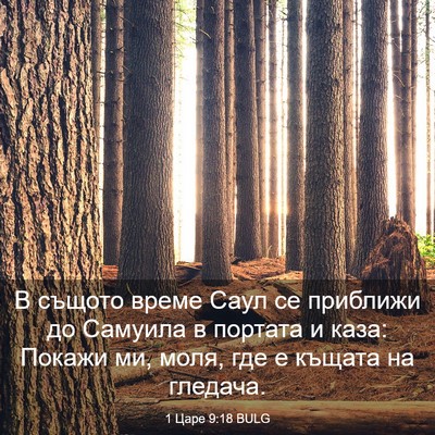 Picture 03 - 1 Царе 9:18 BULG - В същото време Саул се - Bible Verse Picture