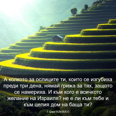 Picture 03 - 1 Царе 9:20 BULG - А колкото за ослиците ти, - Bible Verse Picture